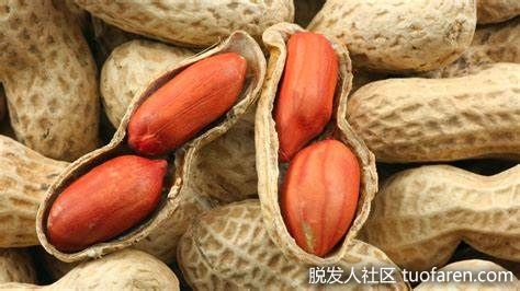 【圖】花生對頭髮健康的好處