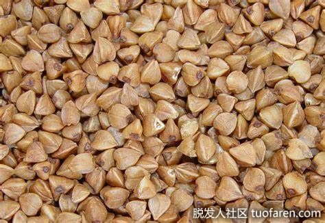 【圖】蕎麥的好處