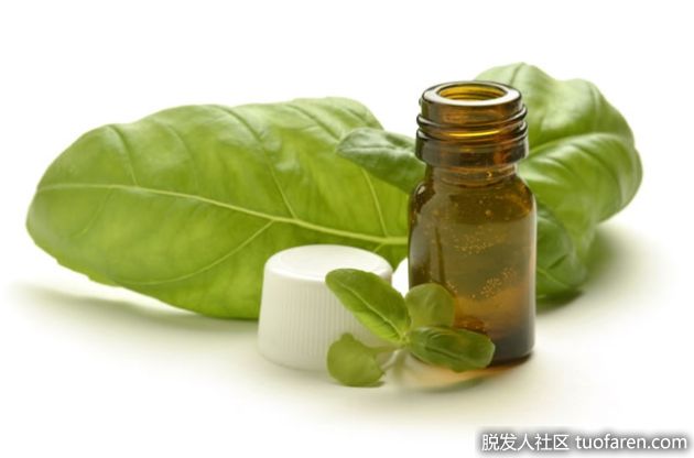【圖】羅勒精油對頭髮的好處