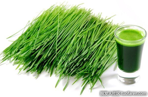 【圖】大麥草汁對皮膚的美容功效