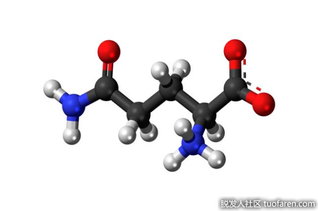 【圖】谷氨醯胺的好處