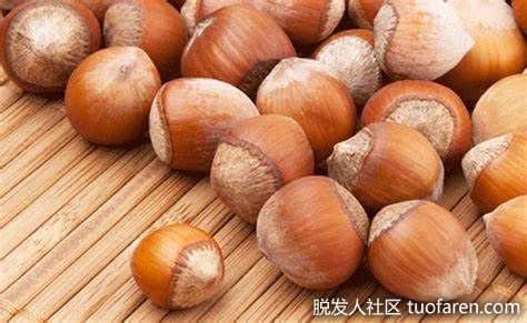 【圖】榛子對頭髮的美容益處