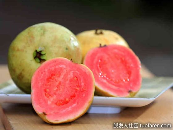 【圖】【組圖】番石榴對皮膚和頭髮的美容作用