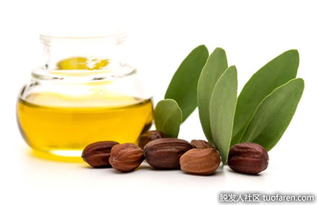 【圖】油性頭髮怎麼改善：霍霍巴油用於油性頭髮