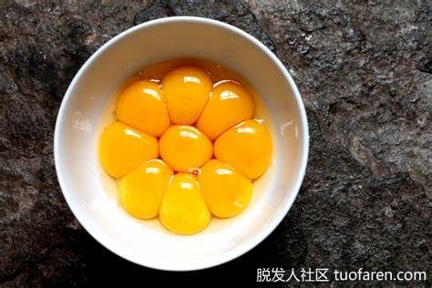 【圖】油性頭髮怎麼改善：蛋黃適合油性頭髮