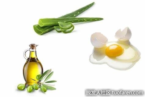 【圖】讓頭髮變厚：雞蛋、橄欖油和蘆薈髮膜