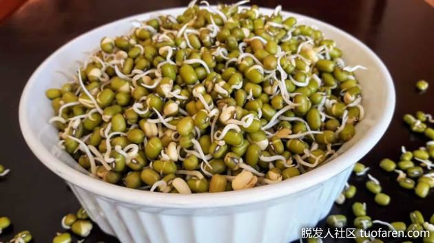 【圖】【組圖】綠豆芽對健康和美容的好處