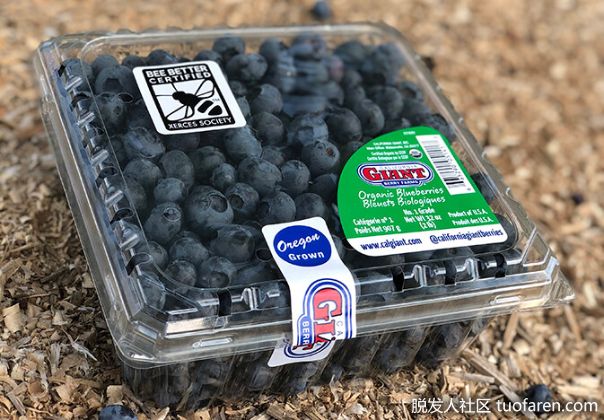 【圖】藍莓對頭髮的美容益處