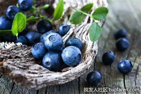 【圖】吃太多藍莓的8大副作用