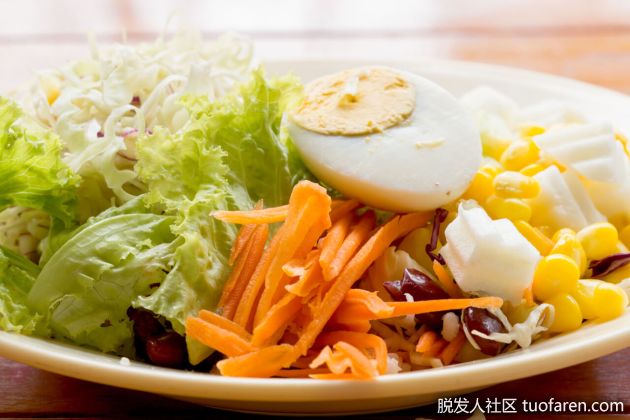 【圖】成人的三個階段和營養