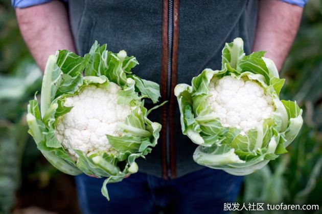 【圖】【組圖】花椰菜對健康和美容的好處