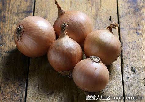 【圖】洋葱對頭髮的益處