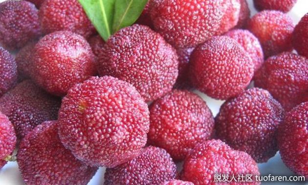 【圖】楊梅的好處