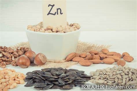【圖】男性鋅的天然來源
