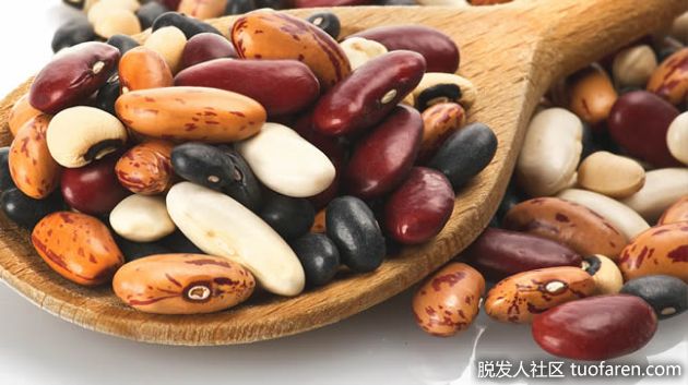 【圖】豆類的氨基酸概況