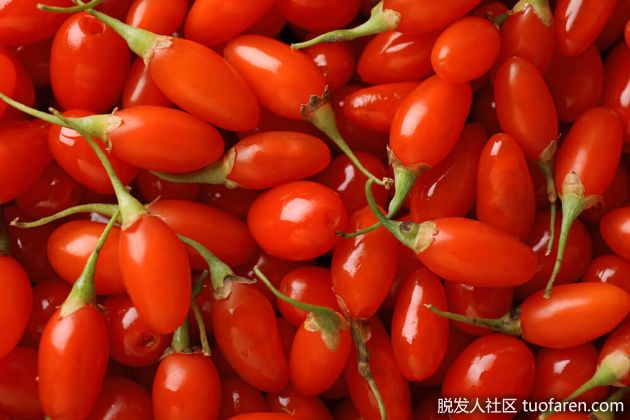 【圖】枸杞對頭髮的美容作用