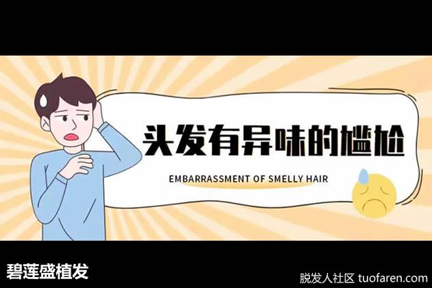 【圖】 碧蓮盛植髮：頭髮總有一股臭味怎麼辦