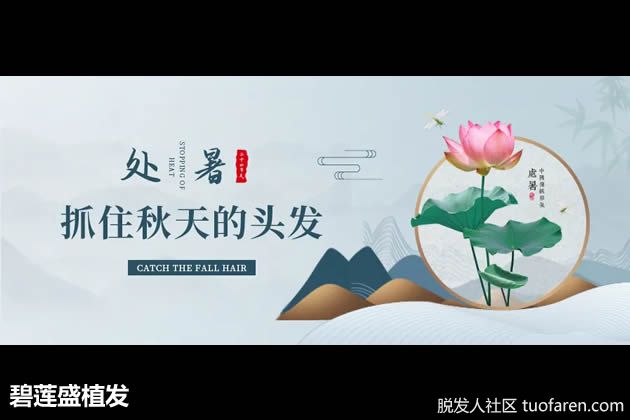 【圖】碧蓮盛植髮：秋季怎樣防脱髮