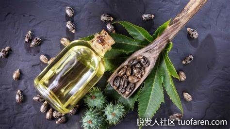 【圖】蓖麻油的副作用有哪些
