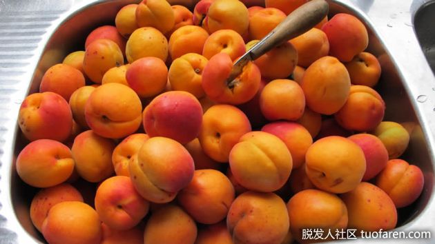 【圖】有利於頭髮生長的水果：杏子