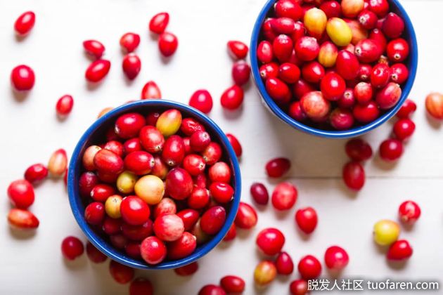 【圖】【組圖】蔓越莓對皮膚和頭髮的15個驚人好處