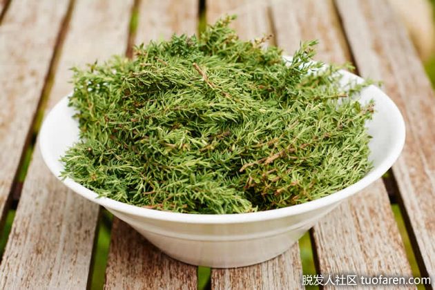 【圖】百里香的好處是什麼？