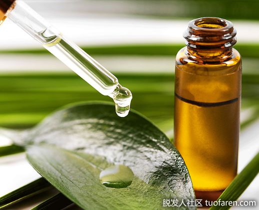 【圖】茶樹油治療脱髮效果好不好？