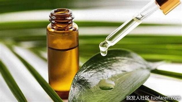 【圖】茶樹油生髮治療