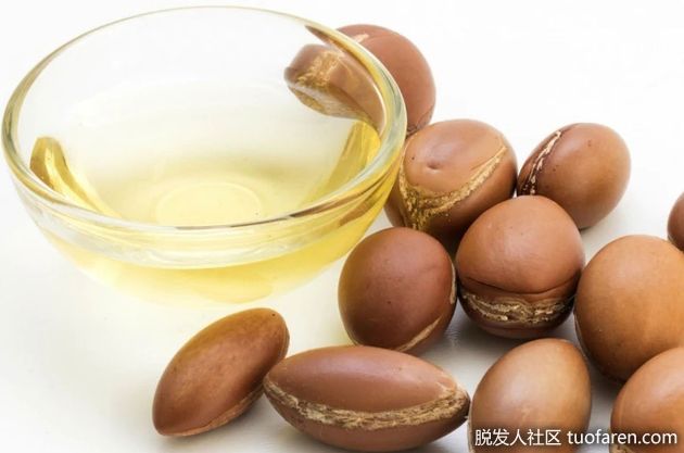 【圖】摩洛哥堅果油對脱髮有益嗎