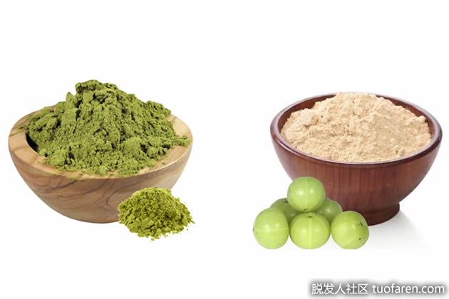 【圖】醋栗粉+指甲花促進頭髮生長