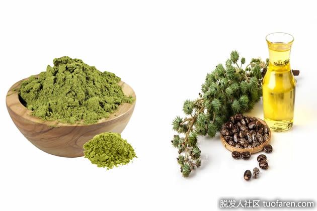 【圖】蓖麻油+指甲花促進頭髮生長