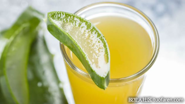 【圖】蘆薈汁促進頭髮生長
