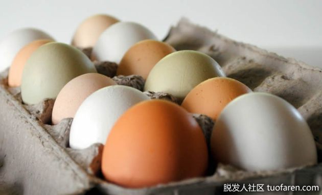 【圖】雞蛋的哪一部分對頭髮很重要