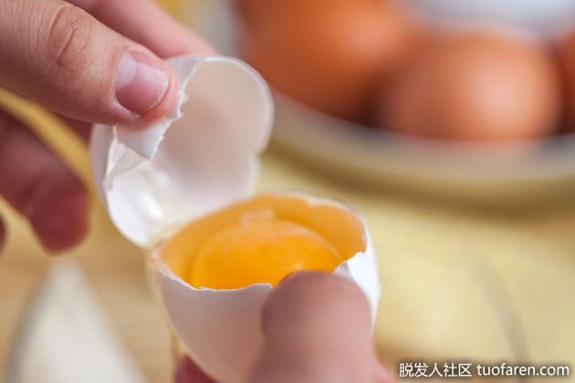 【圖】雞蛋對頭髮的好處