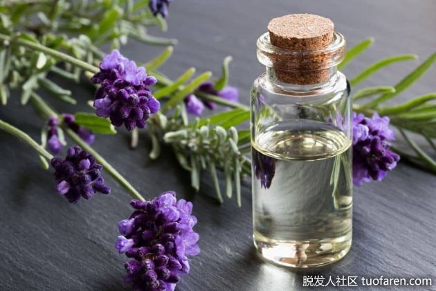 【圖】自制薰衣草洗髮水