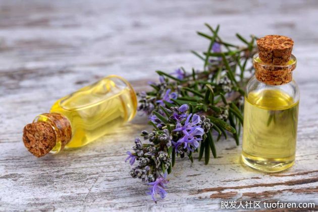 【圖】迷迭香精油和薰衣草精油對頭髮的作用