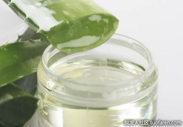 【圖】蘆薈膠對頭髮和頭皮的作用