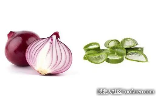 【圖】洋葱汁和蘆薈促進頭髮生長