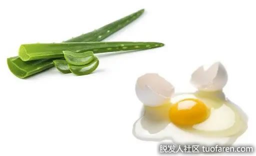 【圖】雞蛋和蘆薈促進頭髮生長