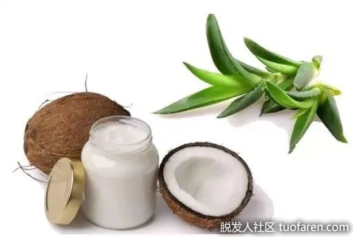 【圖】椰子汁和蘆薈治療脱髮