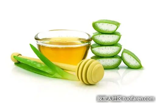 【圖】蜂蜜和蘆薈促進頭髮生長