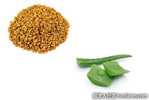 【圖】葫蘆巴籽和蘆薈控制頭髮脱落