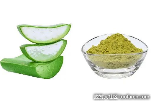 【圖】指甲花和蘆薈治療脱髮