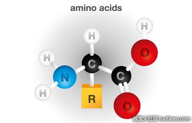 【圖】6種對頭髮生長最好的氨基酸