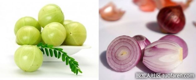 【圖】醋栗洋葱汁改善頭髮暗淡