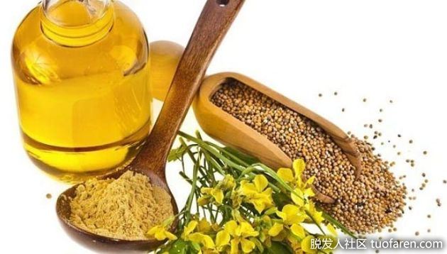 【圖】使用茴香籽油對頭髮有什麼好處