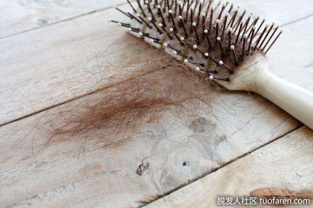 【圖】秋天=脱髮季!韓國醫生教你6個預防方法
