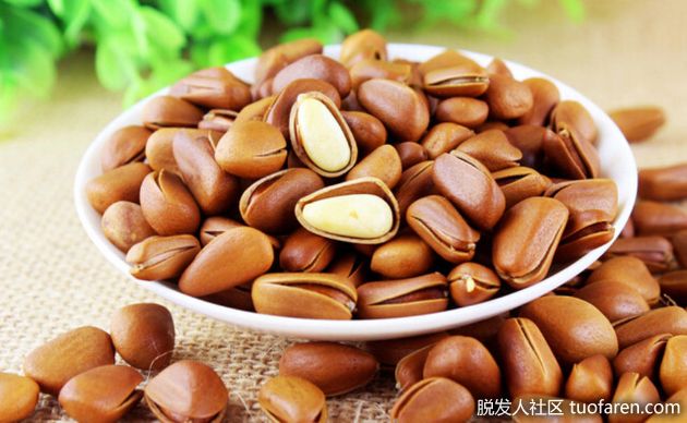 【圖】松子仁對健康的好處