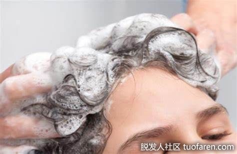 【圖】洗頭一天不超過一次 正確洗髮頭皮不發炎