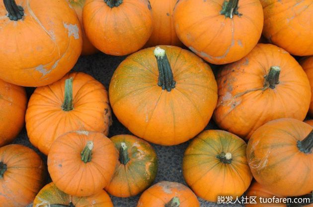 【圖】南瓜變苦不能吃 醫生警告恐大量掉髮